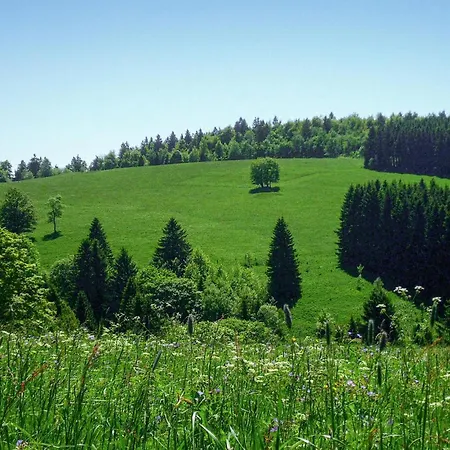 Ferienhauspark Holiday home Hasselfelde